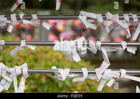 Dutzende von Omikuji oder japanischen Vermögen Papier, sind auf Zeichenfolge in einem Shinto-Tempel in Takayama, Japan gewickelt. Stockfoto