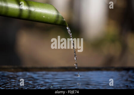 Bambus-Brunnen im japanischen Tempel, Tokio, Japan. Stockfoto