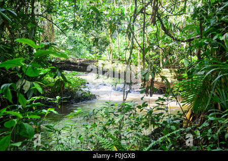 EKOM-Nkam Wasserfall in der Nähe von Nkongsamba in Kamerun/Kamerun Stockfoto