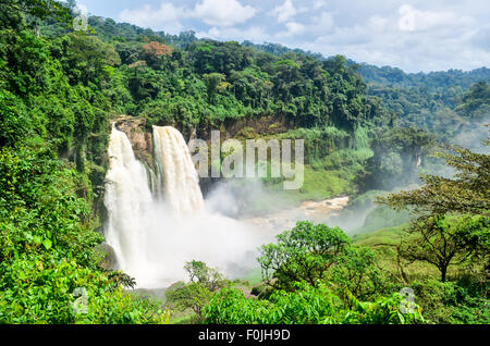 EKOM-Nkam Wasserfall in der Nähe von Nkongsamba in Kamerun/Kamerun Stockfoto