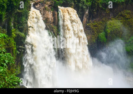 EKOM-Nkam Wasserfall in der Nähe von Nkongsamba in Kamerun/Kamerun Stockfoto