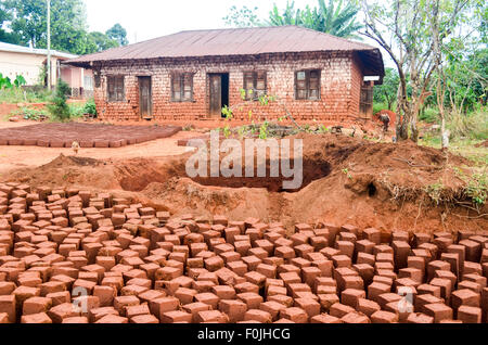 Schlamm-Ziegel trocknen, um Häuser zu bauen in Kamerun Stockfoto