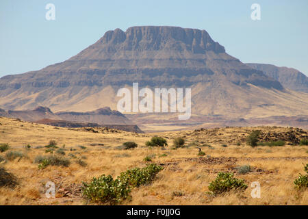 Landschaft in Namibia - Brandberg Mountains Stockfoto