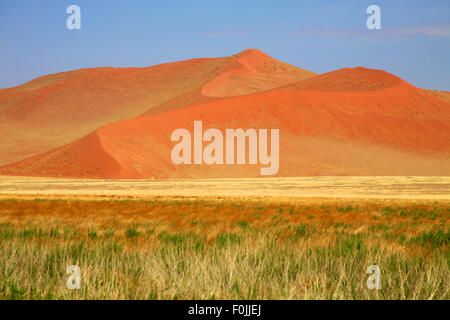 Sossusvlei ist ein Salz und Ton Pan, umgeben von hohen roten Dünen, befindet sich im südlichen Teil der Namib-Wüste Stockfoto