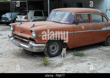 1950er Jahre Oldtimer sind ein wesentliches Merkmal auf Kubas Straßen Stockfoto