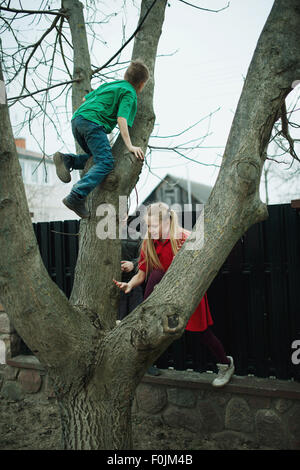 Kinder klettern auf Baum Stockfoto