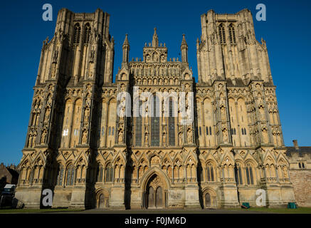 Westfassade des frühen englischen Wells Cathedral in der Stadt Wells, Somerset, England, UK Stockfoto