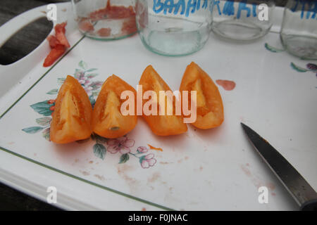 Speichern von Tomaten Schritt Samen 3 Quartal die Tomate mit einem Messer die Samen verfügbar machen Stockfoto