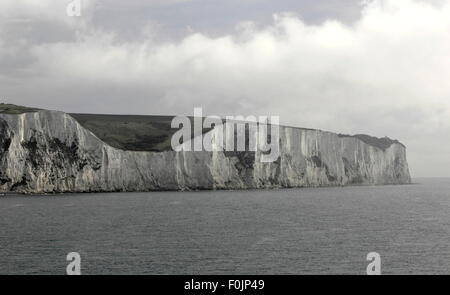 AJAXNETPHOTO. JUNI 2015. DOVER, ENGLAND. -KREIDEFELSEN - ABSCHNITT VON DEN KREIDEFELSEN KÜSTE ALLGEMEIN BEKANNT ALS WEIßE KLIPPEN VON DOVER IN GRAU AM FRÜHEN MORGEN LICHT FOTO: JONATHAN EASTLAND/AJAX REF: D152906 5321 Stockfoto