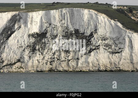 AJAXNETPHOTO. JUNI 2015. DOVER, ENGLAND. -KREIDEFELSEN - ABSCHNITT VON DEN KREIDEFELSEN KÜSTE ALLGEMEIN BEKANNT ALS WEIßE KLIPPEN VON DOVER IM MORGENDLICHEN LICHT. FOTO: JONATHAN EASTLAND/AJAX REF: D152906 5323 Stockfoto