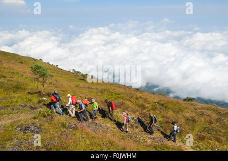 Touristen während der Besteigung des Mount Cameroon (Mount engagiert), des höchsten Gipfels des West-Afrika Stockfoto