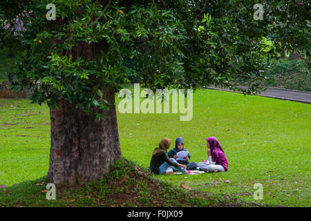 Junge Frauen sitzen zusammen auf dem Grasfeld, während sie eine Diskussion im Bogor Botanical Gardens in Bogor, West Java, Indonesien, führen. Stockfoto