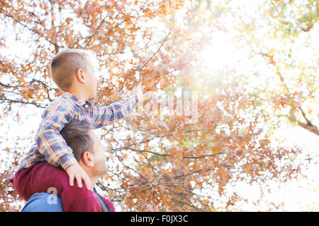 Vater mit Sohn auf Schultern erreichen für den Herbst Blätter Stockfoto