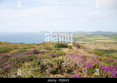 Ein Blick vom Fußweg auf Penarfynydd, Rhiw, Stift Llyn über der Küste & Meer über zu Ynys Enlli / Bardsey Stockfoto