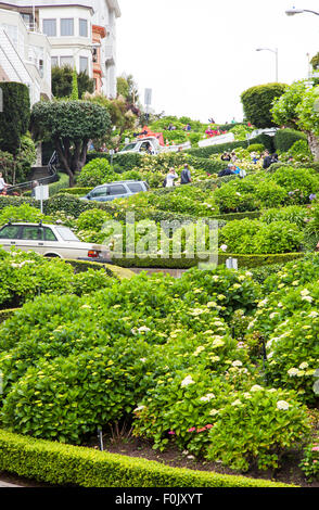 Die berühmte Lombard Street in San Francisco, Kalifornien, USA Stockfoto