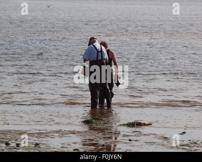 Newcastle Upon Tyne, 17. August 2015, Großbritannien Wetter. Gutes Wetter bei Ebbe auf dem Tyne auszusetzen Reihen von Reifen fangen Krebse nur Köder Fischer geerntet zu werden. Stockfoto