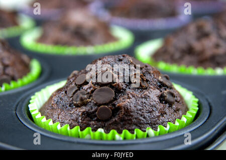 Frisch gebackene Muffins mit Schokolade Tropfen Stockfoto