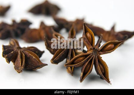 Anis Stern (Illicium Verum) isoliert auf weißem Hintergrund. Auch als Stern-Anis oder chinesischen Sternanis. Als Gewürz in cu Stockfoto