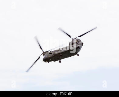 RAF Chinook-Hubschrauber in Eastbourne Airbourne, UK angezeigt. Stockfoto