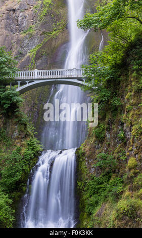 Eine Fußgängerbrücke wölbt über Multnomah Falls, sich auf der höchsten Wasserfälle in den USA, in der Nähe von Portland, Oregon Stockfoto