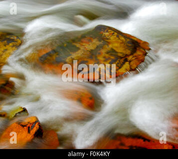 Langzeitbelichtung des schnell fließenden Strom mit Wildwasser und Felsen. Stockfoto