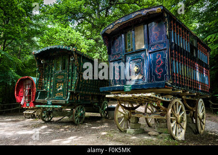 Traditionelle alte Roma Zigeunerwagen in einem Waldgebiet Clearing bei Groombridge Place, Tunbridge Wells, Kent, England Stockfoto