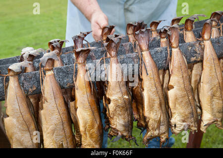 Gekochter Schellfisch fisch Smokies, geräuchert Spezialität Meeresfrüchte erhalten, in Arbroath Meer Fest, Nordosten Schottlands, Großbritannien Stockfoto