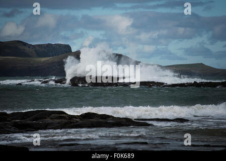 Wellen am Curio Bay Landzunge, Südinsel, Neuseeland. Stockfoto