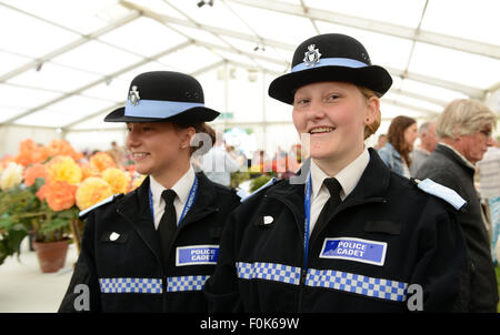 weiblichen Kadetten Polizeikadett freiwillige Offiziere britischen uk Stockfoto