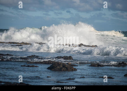 Wellen am Curio Bay Landzunge, Südinsel, Neuseeland. Stockfoto