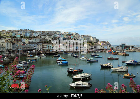 Boote im Hafen von Brixham, Devon, England. Häuser und Restaurants im Hintergrund mit Blick auf den Hafen. Stockfoto