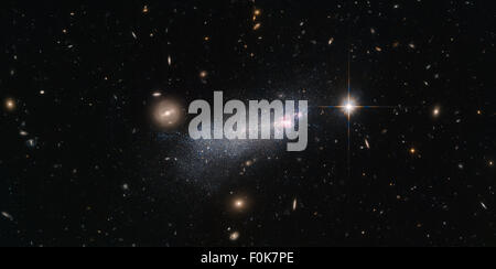 Dieses Hubble-Weltraumteleskop zeigt die Wolf-Rayet-Galaxie SBS 1415+437, die sich 45 Millionen Lichtjahre von der Erde entfernt befindet. Sie weist eine hohe Konzentration von Wolf-Rayet-Sternen auf, die für ihre massive Größe und intensive Hitze bekannt sind. Stockfoto