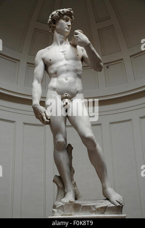Michelangelos Welt berühmte Statue des "David" in der Galleria Dell' Accademia, Florenz, Italien. Stockfoto