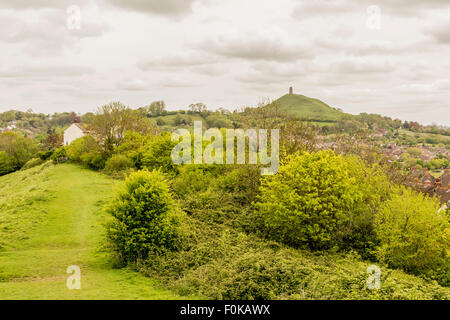 Ein Blick auf das Tor von Wearyall Hill, Glastonbury, Somerset. Stockfoto