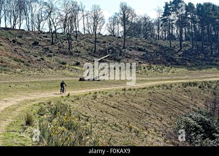 Kurs der alten Bundesstraße A3 auf der Devils Punchbowl Hindhead Surrey Stockfoto