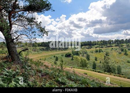 Kurs der alten Bundesstraße A3 auf der Devils Punchbowl Hindhead Surrey Stockfoto