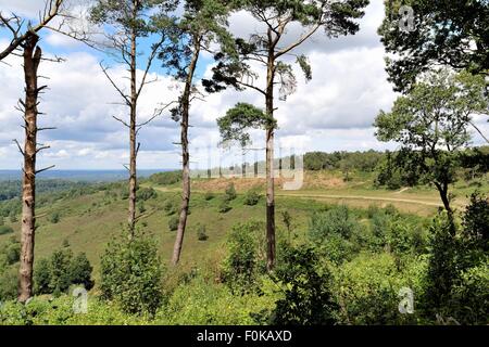 Kurs der alten Bundesstraße A3 auf der Devils Punchbowl Hindhead Surrey Stockfoto