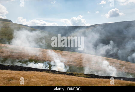 Brennen Sie Gräser auf die Mauren über Glossop in Derbyshire, England. Stockfoto