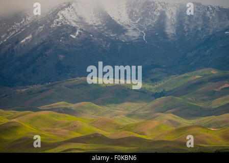 Malerische Landschaft Muti-farbigen Berge und Schnee auf Soldaten Bergen im Frühjahr, Camas Prairie-Fairfield, USA Stockfoto