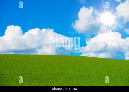 Sonnigen Sommerwiese Hintergrund. Sommer grünen Hügeln und blauen Wolkenhimmel. Malerische Natur Landschaft Hintergrund. Stockfoto