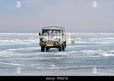 Russland, Baikalsee, Pickup-Truck und Siberian Husky auf zugefrorenen See Stockfoto