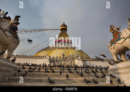 Boudhanath Stupa, eines der wichtigsten Wahrzeichen in Kathmandu umgeben von Vögel in den frühen Morgenstunden, Nepal Stockfoto