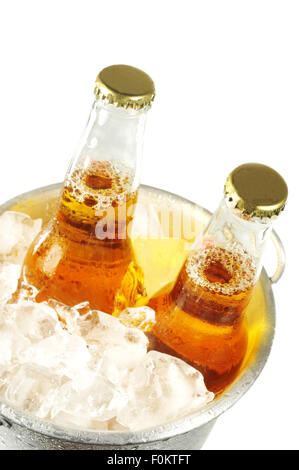 Zwei lange Hals Flaschen Bier in einen Eimer mit Eis isoliert auf weiss mit Textfreiraum Stockfoto