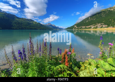 Erstaunliche sonniger Tag am Champferersee See in den Schweizer Alpen. Silvaplana-Dorf, Schweiz, Europa. Stockfoto