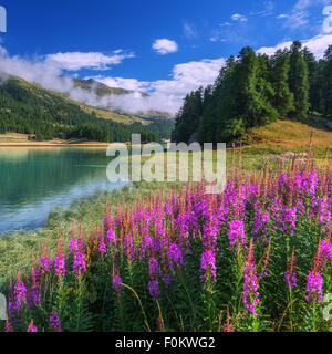Erstaunliche sonniger Tag am Champferersee See in den Schweizer Alpen. Silvaplana-Dorf, Schweiz, Europa. Stockfoto