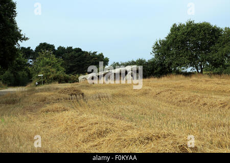 Dolmen bei Kervernet, Park Naturel Regional de Briere, Guerande, Loire Atlantique, Frankreich, Stockfoto