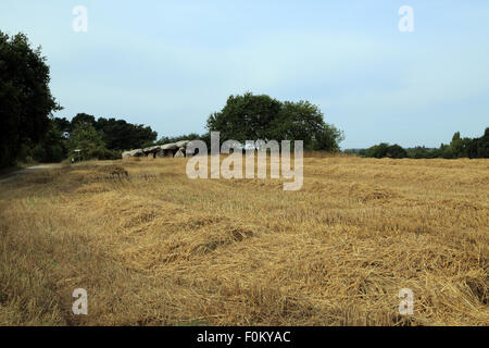 Dolmen bei Kervernet, Park Naturel Regional de Briere, Guerande, Loire Atlantique, Frankreich, Stockfoto