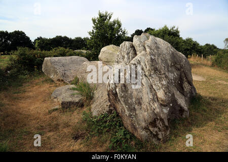 Dolmen bei Kervernet, Park Naturel Regional de Briere, Guerande, Loire Atlantique, Frankreich, Stockfoto