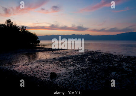 Landschaft von Mangroven und Küstenlandschaft während des Sonnenuntergangs in Jontona, Lembata Island, Indonesien. Stockfoto