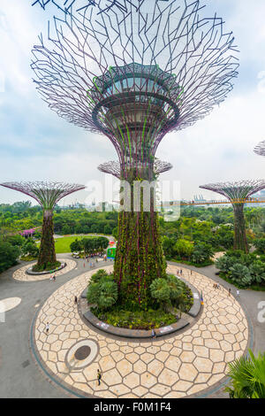 Supertrees, Supertree Grove Gardens by the Bay, Singapur Stockfoto